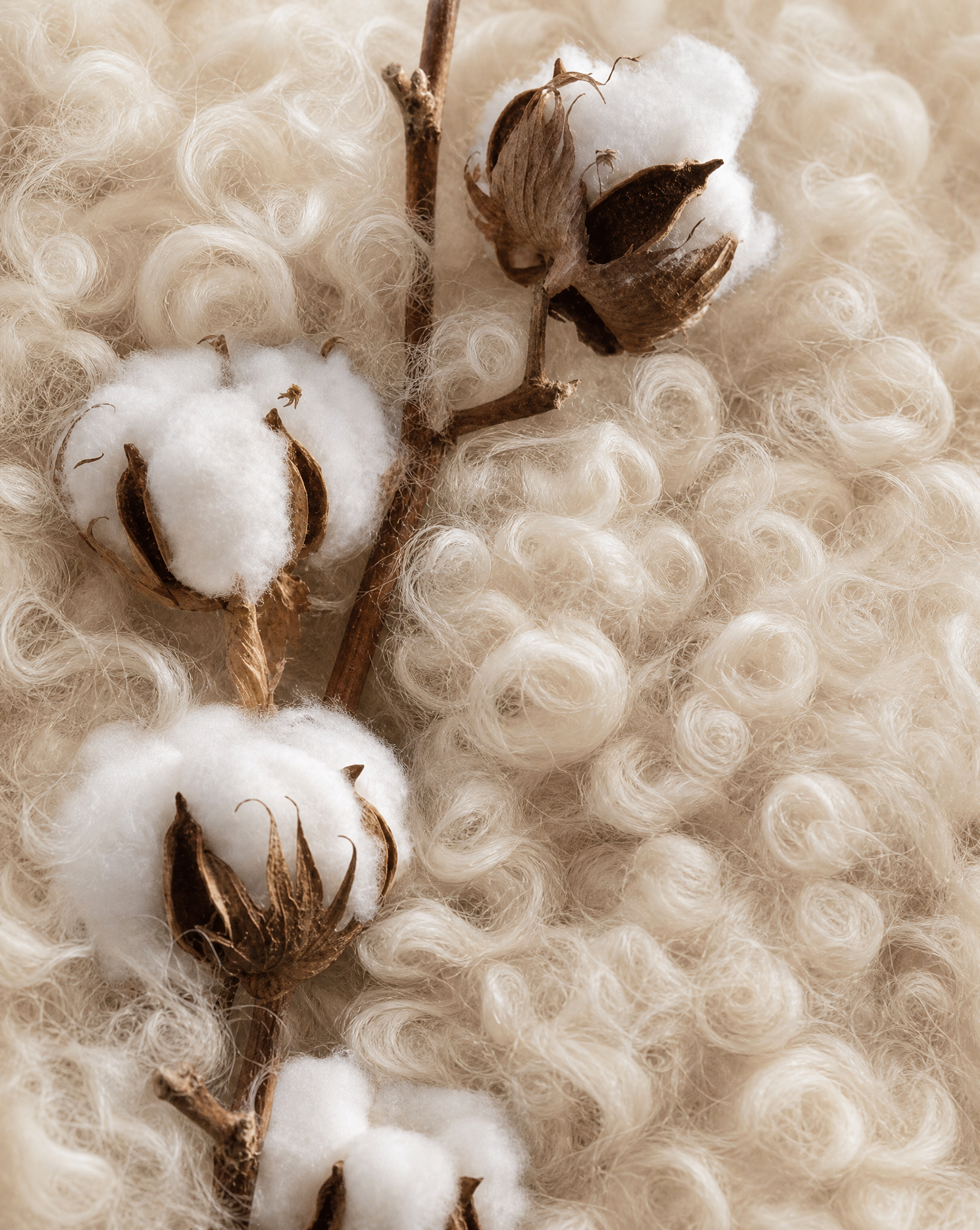 placement of cotton and wool together natural fibres 