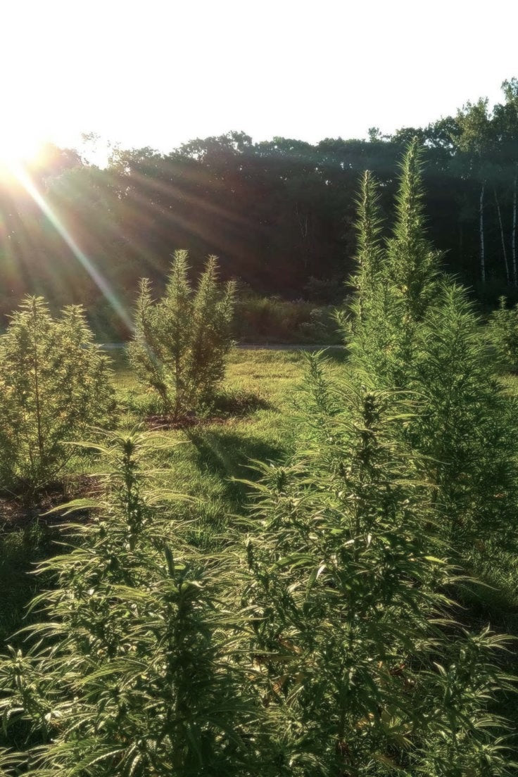 Hemp: The ancient fibre that fashion forgot (and why we're paying attention)