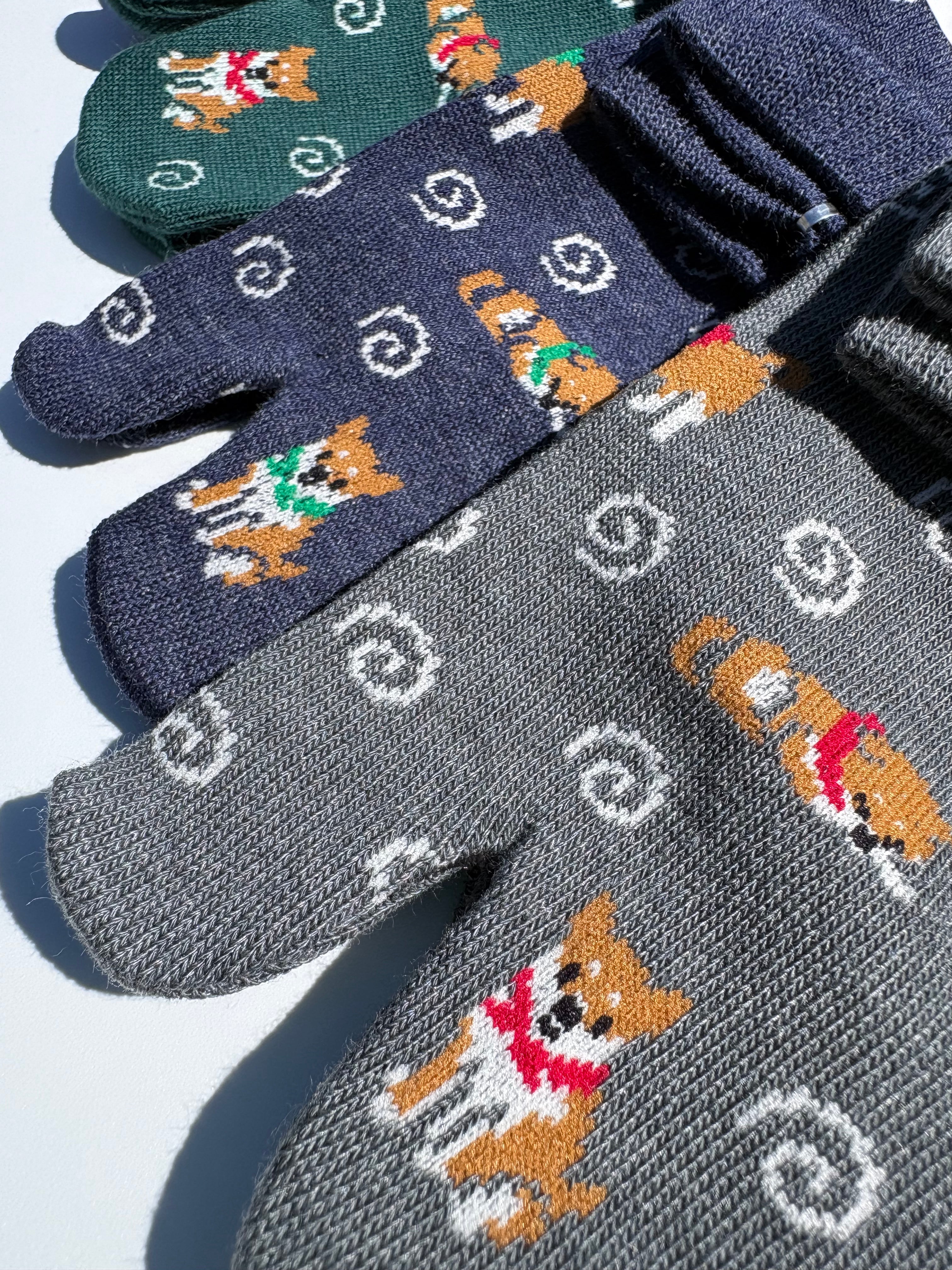 close up of shiba inu socks