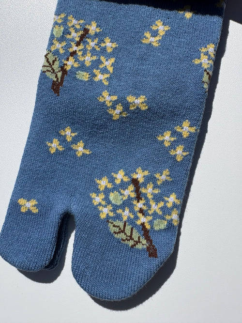 close up Blue tabi sock with floral design on a white background