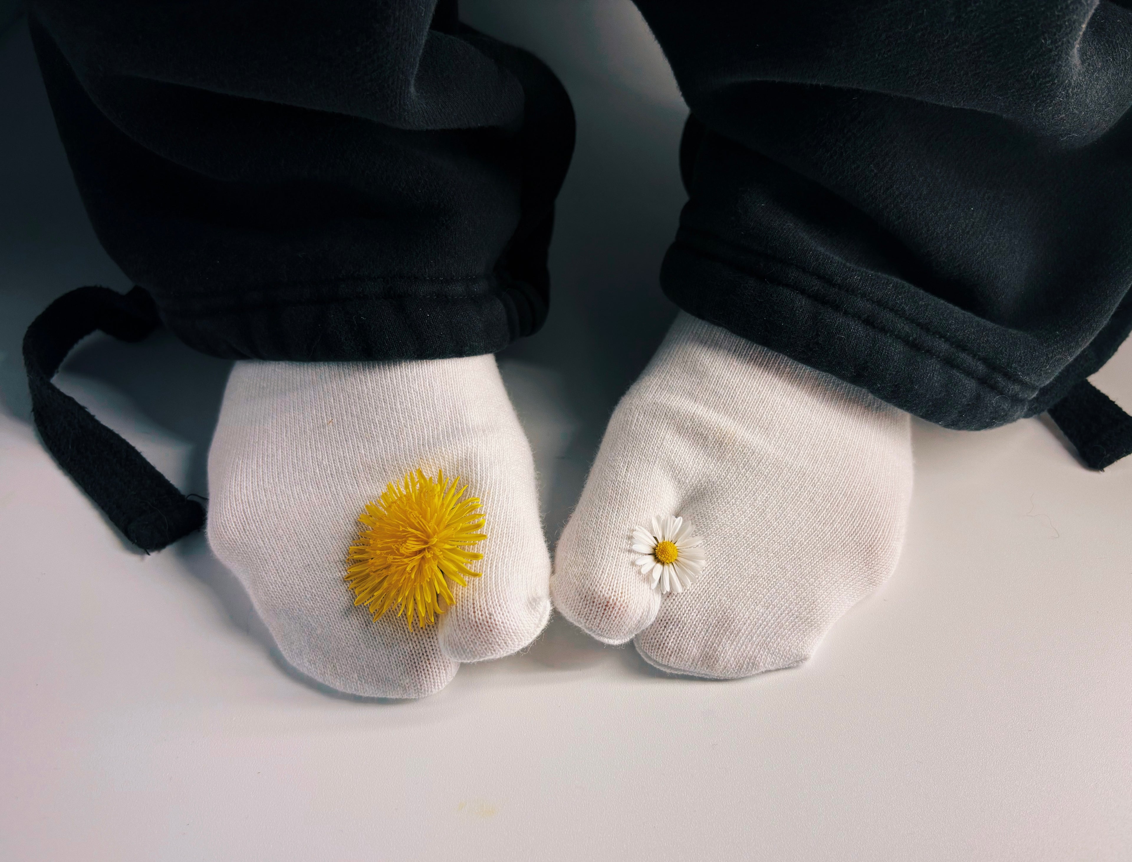 White plain premium cotton tabi socks in an editorial brand photoshoot. Also wearing black sweatpants on a white floor. A dandelion and daisy in between the toes