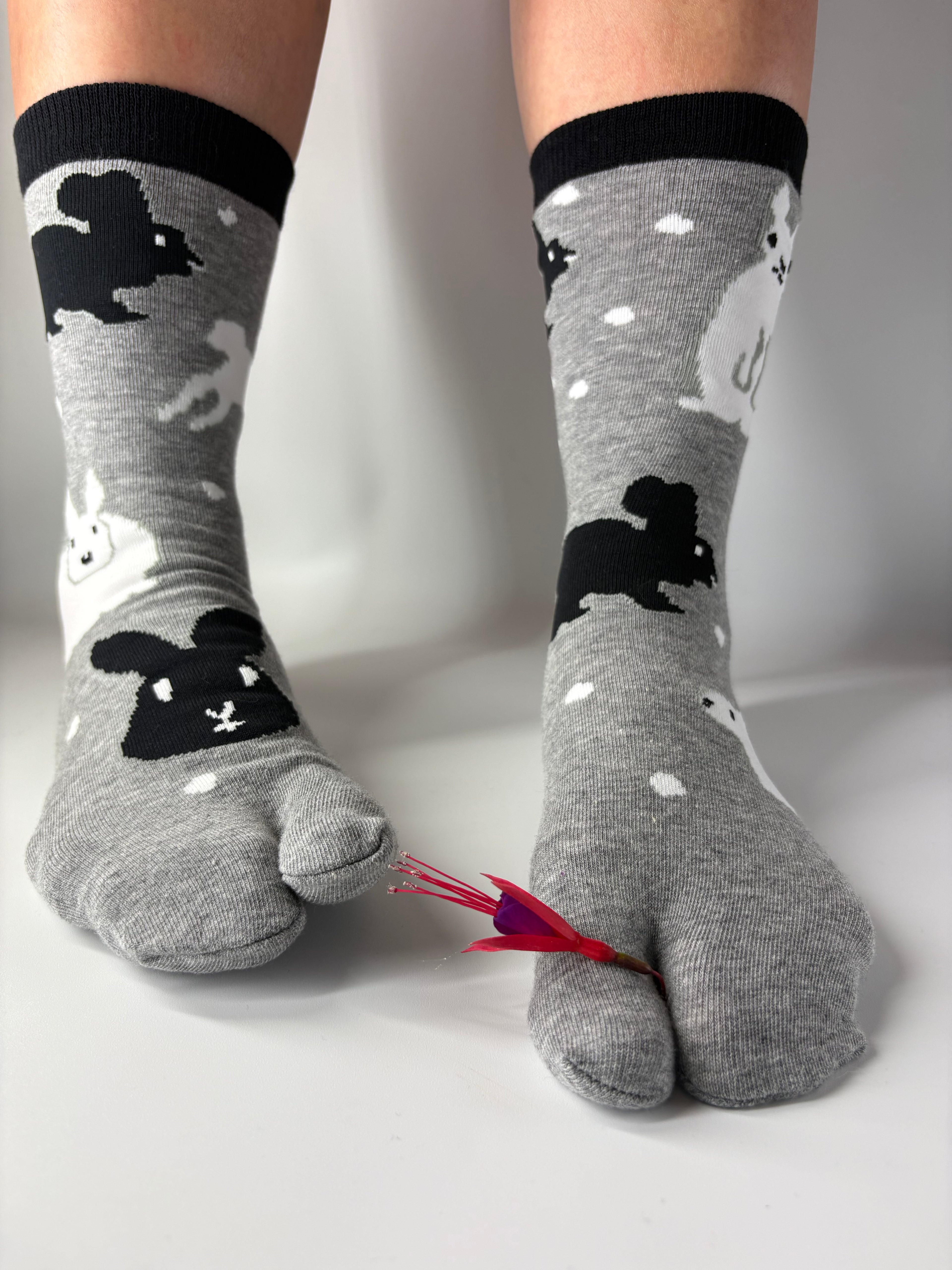 Rabbits in the sky Tabi socks