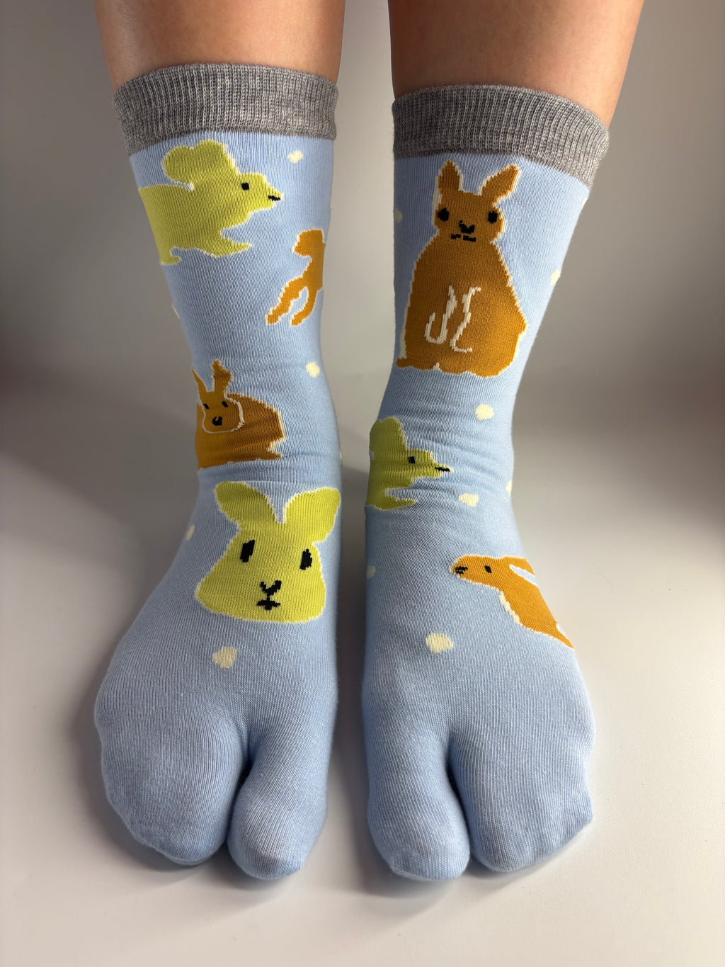 Rabbits in the sky Tabi socks