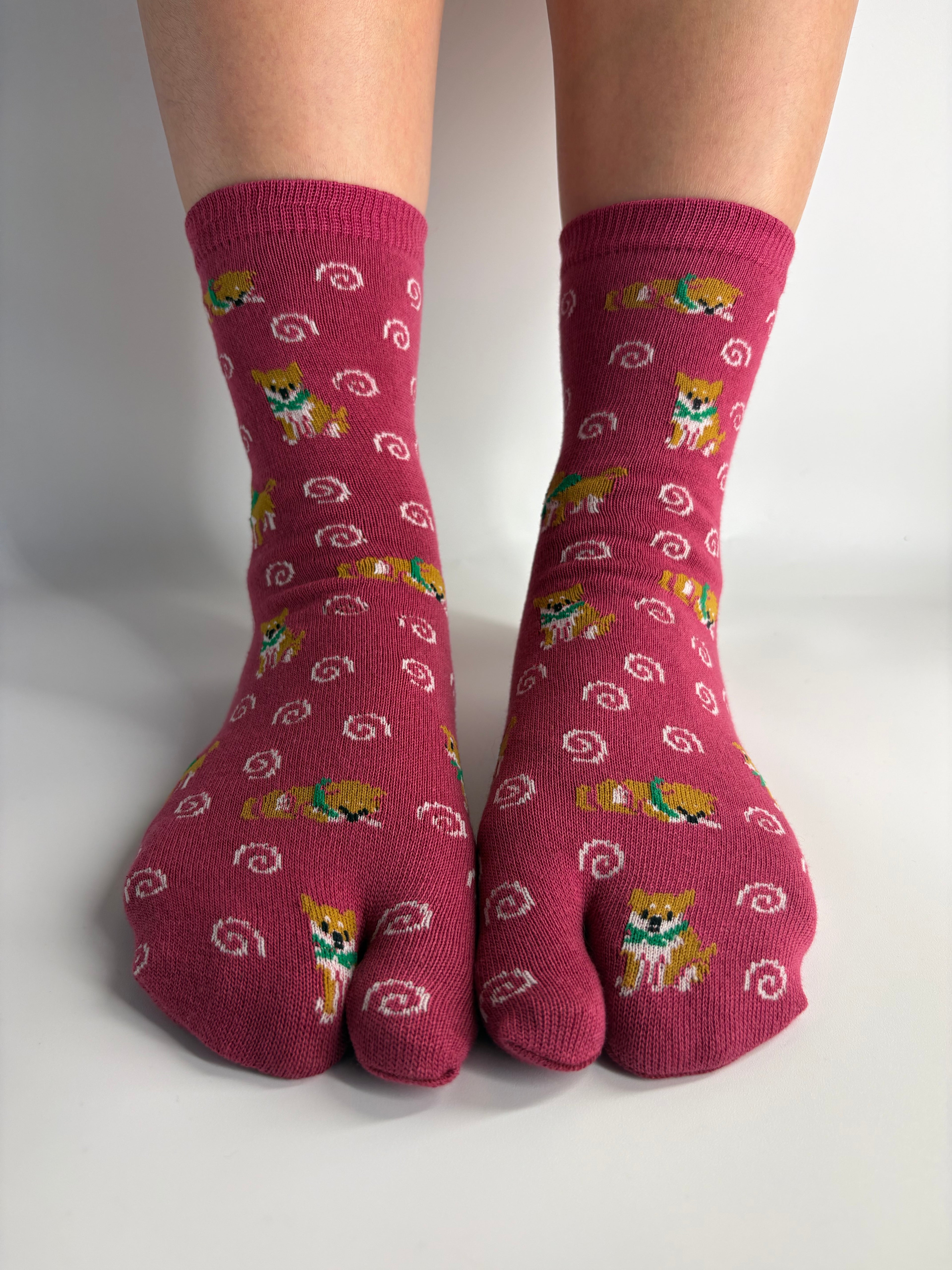 A pair of red tabi socks with a pattern of white swirls and shiba inu dog print, worn on feet against a plain white background.